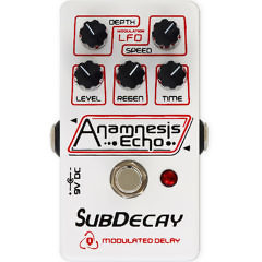 Anemnesis Echo Modulated Delay